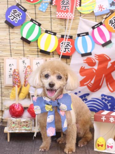 20240728プーちゃん